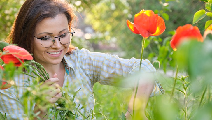 Beautiful middle-aged woman in nature in the garden cutting flowers red poppies