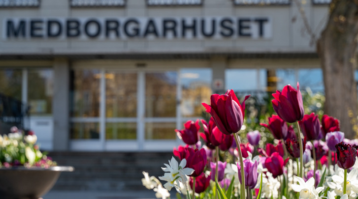 Blommor utanför Medborgarhuset