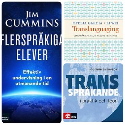 böcker till vänster Jim Cummins Flerspråkiga elever, överst till höger Translanguaging, nederst till höger Transspråkande 